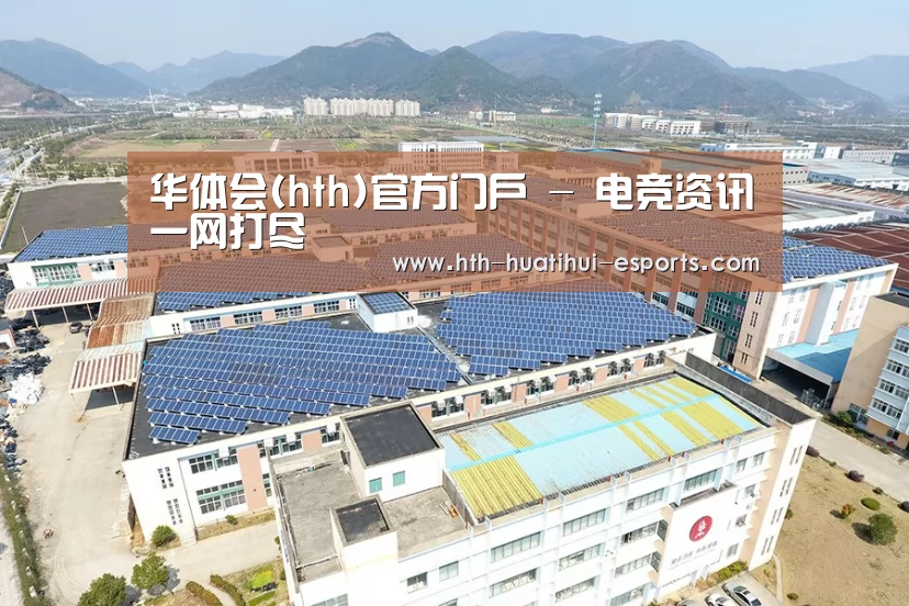 案例展示四