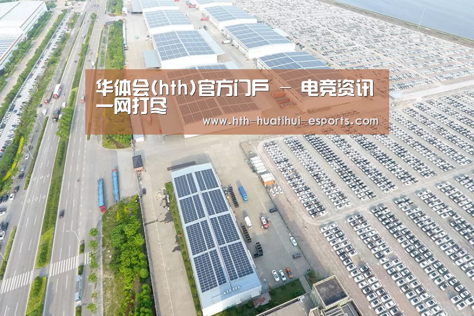 案例展示一