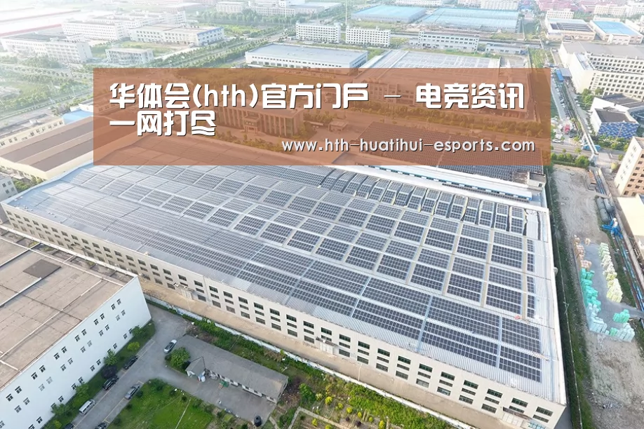 案例展示三