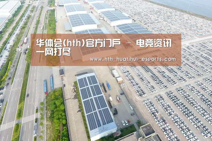 案例展示三