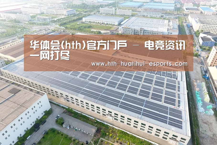 案例展示四