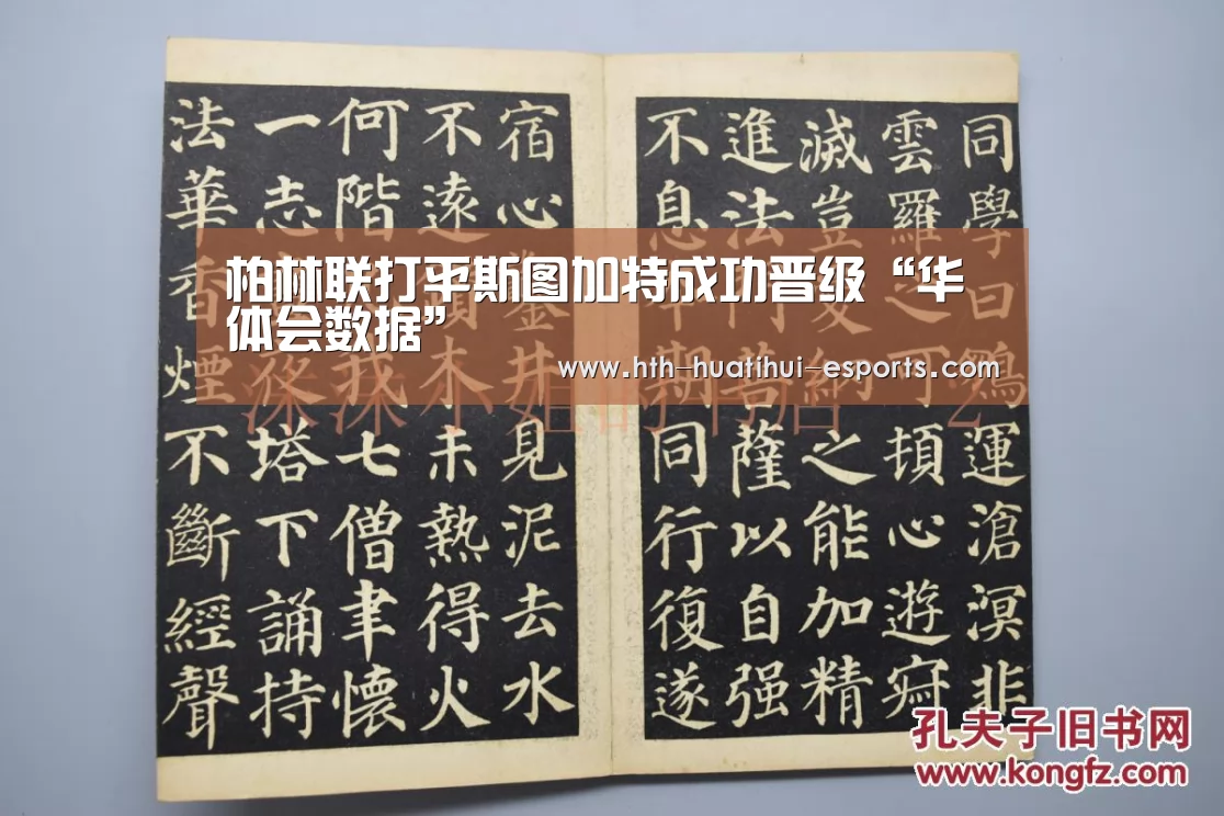 柏林联打平斯图加特成功晋级“华体会数据”(图4) 华体会品牌