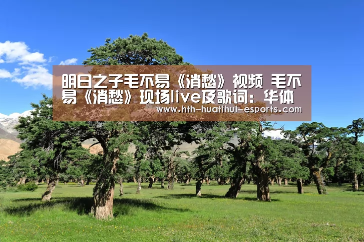 明日之子毛不易《消愁》视频 毛不易《消愁